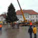 Jetzt schon an Weihnachten denken!