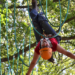 Zehn Jahre schnurstracks Kletterpark im Sachsenwald