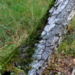 Wetterseite und Himmelsrichtung?