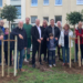 Zwei Eschen für die Einheit