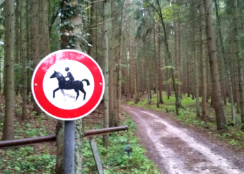 Linke: Der Wald ist für alle da!