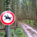 Linke: Der Wald ist für alle da!