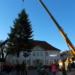 Ratzeburgs Weihnachtsbaum steht