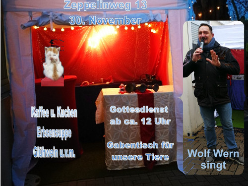Weihnachten für Tiere