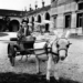 Doku-Dienstag: ‚Peggy Guggenheim – Ein Leben für die Kunst‘ im Filmclub