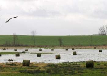 Die vergessenen Rundballen im vergessenen Dorf