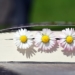 Ratzeburg: Lesefrühling in den Herbst verschoben