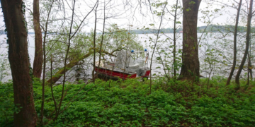 Dreister Diebstahl