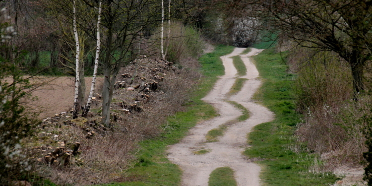 Die ‚urigsten Feldwege‘ im Herzogtum