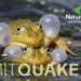 ‚Mitquaken!‘ – Angebot zum Mitgestalten beim Naturpark Lauenburgische Seen