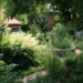 Neugierig auf einen Naturgarten?
