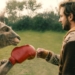 ‚Die Känguru-Chroniken‘ im Filmclub