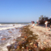GeoPark: Steine am Strand