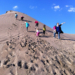 Strandsteine und Landsteine