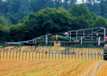 Nach der Ernte ist vor der Ernte