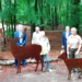 Neues Angebot im Möllner Wildpark