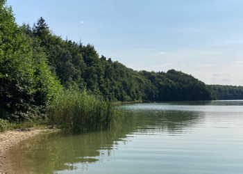 Erholung zu Lasten des Naturschutzes – ‚Tatort‘ Garrensee