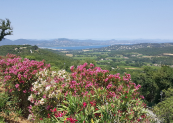 Vom Herzogtum in die Welt: Wandern, Entdecken und Genießen auf der Halbinsel von St. Tropez