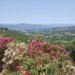 Vom Herzogtum in die Welt: Wandern, Entdecken und Genießen auf der Halbinsel von St. Tropez