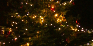 Weihnachtsbaum in Kastorf