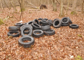 Müllentsorgung im Wald – Zeugen gesucht