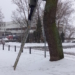 Installation von Vogelnisthilfen im Rahmen des Projektes ‚Umbau und Erweiterung der Ruderakademie Ratzeburg‘
