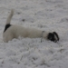Wintereinsätze in der Region