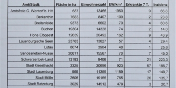 Corona: FDP zur Sieben-Tage-Inzidenz im Herzogtum