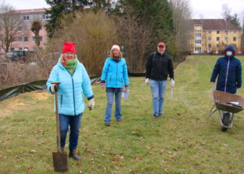 Erfolg im Amphibienschutz