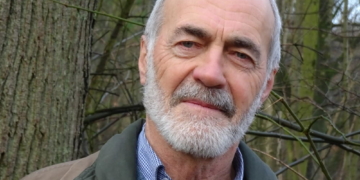 Wie kann die Anpassung der Kreisforsten Lauenburg an den Klimawandel gelingen?