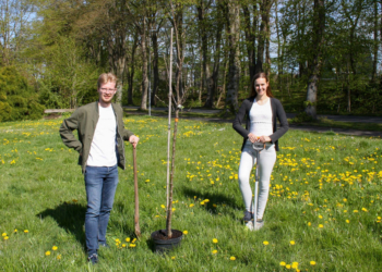 Symbolische Baumpflanzung zur Gründung des Orts-und Amtsverbandes der Grünen in Büchen