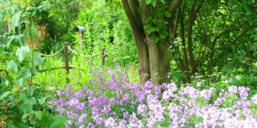 Lust auf einen Offenen Garten?