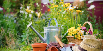 Bei einigen heimischen Gartenpflanzen drohen Vergiftungen