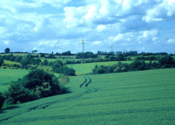 Wanderung durch die historische Knicklandschaft in Lankau