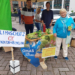 Omas for Future auf dem Ratzeburger Marktplatz