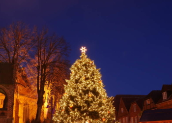 Mölln sucht Weihnachtsbaum