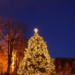 Mölln sucht Weihnachtsbaum