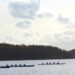 Starke Teams beim 12. Firmensprintcup