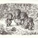 Weihnachtskarte der A. Paul Weber-Gesellschaft