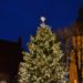 Punschen unter Norddeutschlands schönstem Weihnachtsbaum