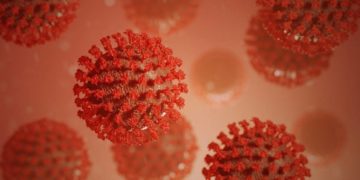 Gesundheitsministerium erinnert an Vorgehen bei auftretenden Krankheitssymptomen oder Kontakt mit einer positiv getesteten Person