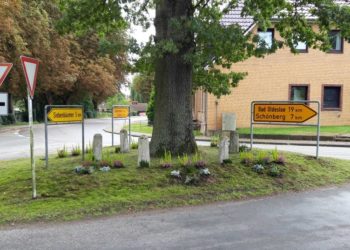150 Jahre Friedenseiche in Steinhorst