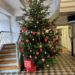 Herzenswünsche am Weihnachtsbaum