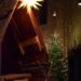 Andersens Märchen vom Tannenbaum im Dom