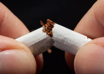 Im Herzogtum Lauenburg sind rund 7.000 Menschen an der Lunge erkrankt