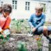 Kitas und Grundschulen nachhaltig gestalten