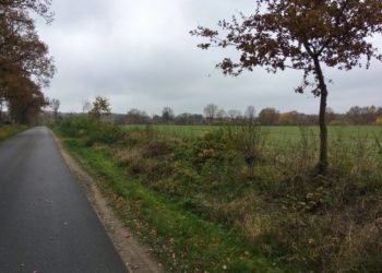 Geplantes Gewerbegebiet in Büchen