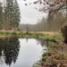 Naturschutzarbeit im Winterwald: Wertvolles Wasser in Mooren halten