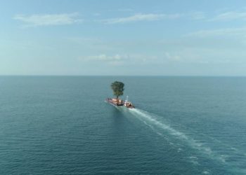 „Die Zähmung der Bäume“ im Kino