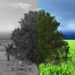 Nach der Ideeneinreichung ist vor dem Klimaschutzkonzept für Mölln
